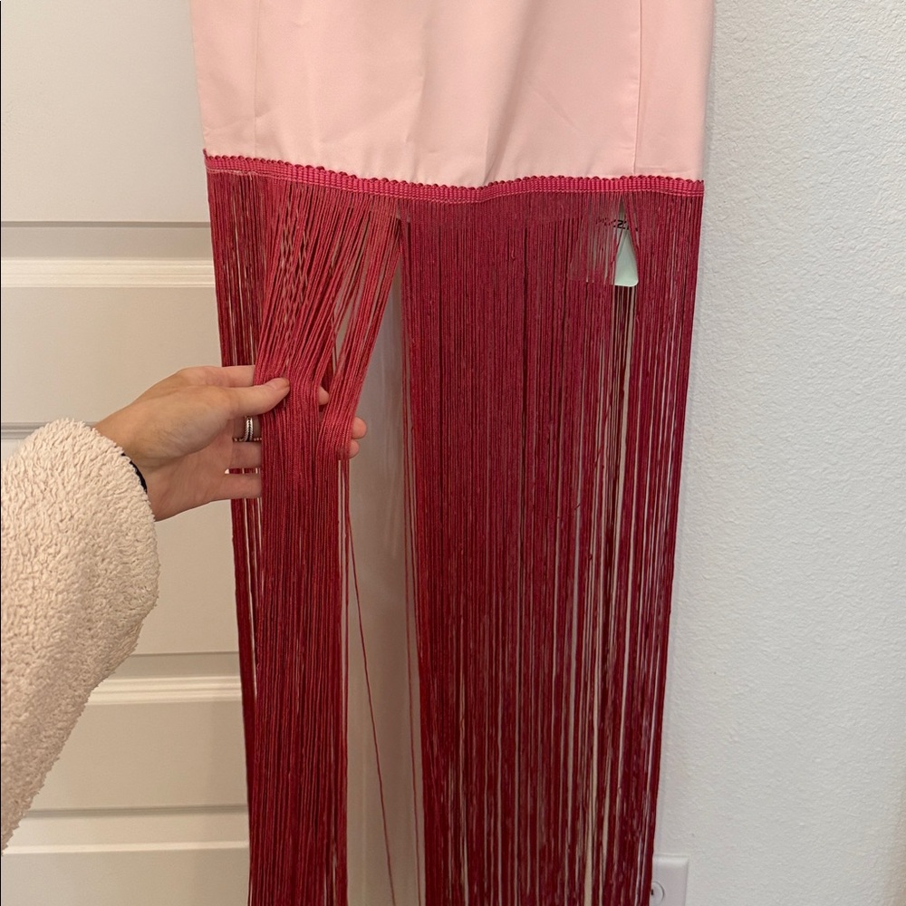 Pink Strapless Dress with Pink Fringe - Picture 2 of 5